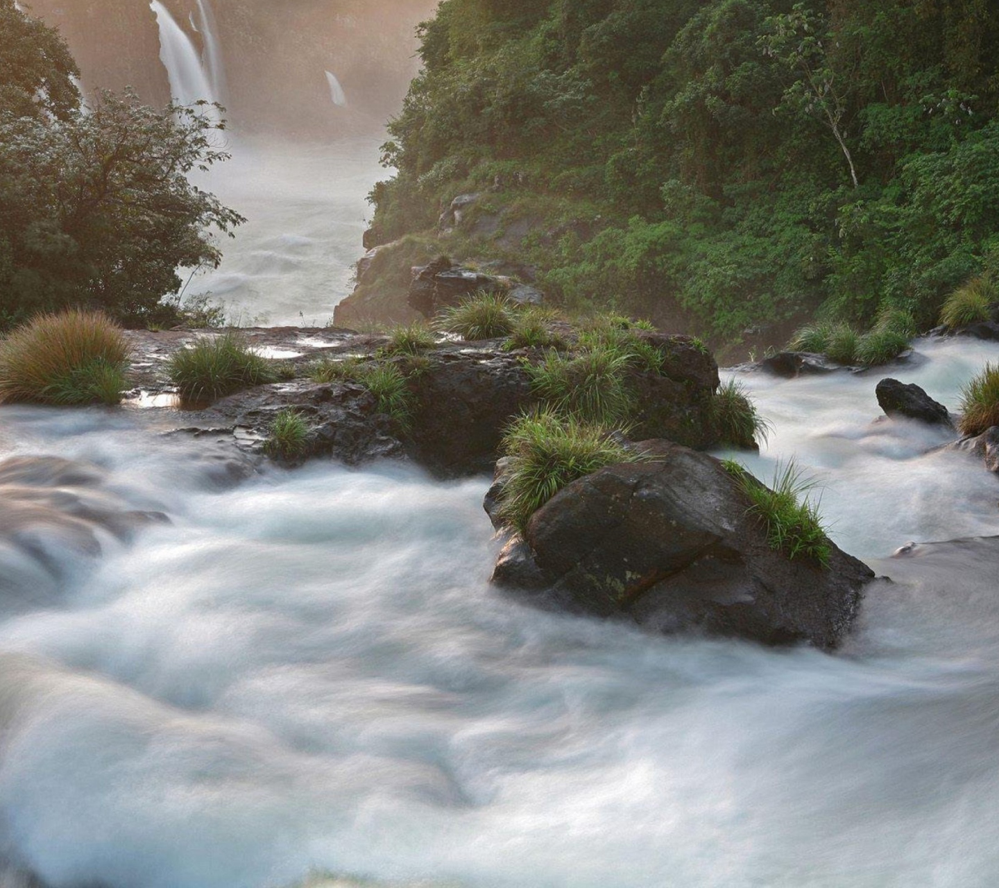 Screenshot №1 pro téma Tropical Forest Waterfall 1440x1280