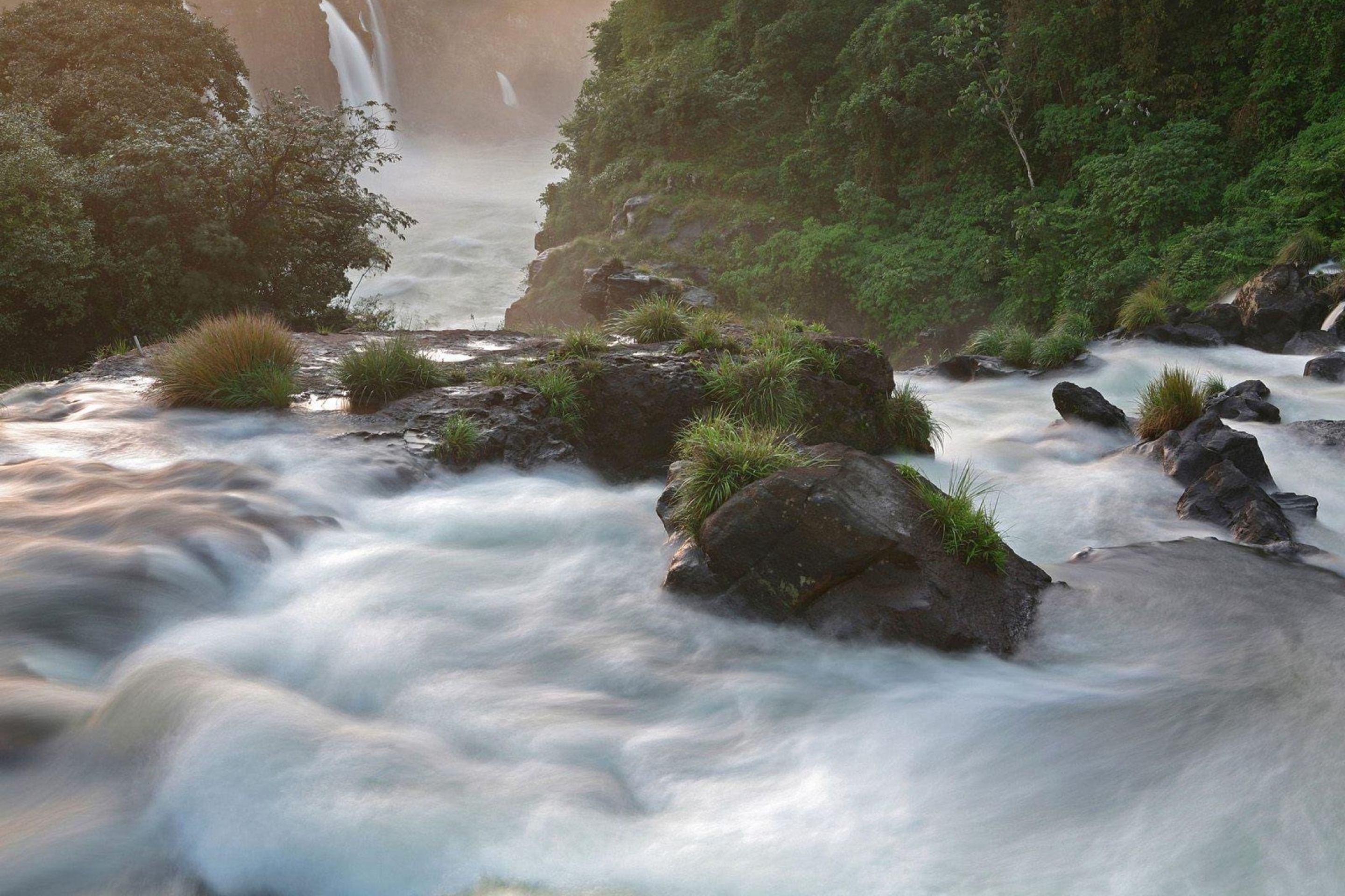 Screenshot №1 pro téma Tropical Forest Waterfall 2880x1920