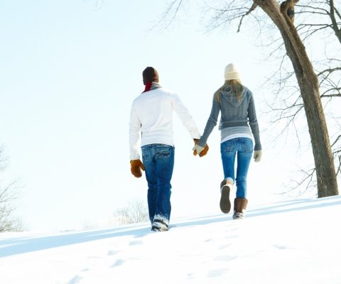 Romantic Walk Through The Snow wallpaper 480x400