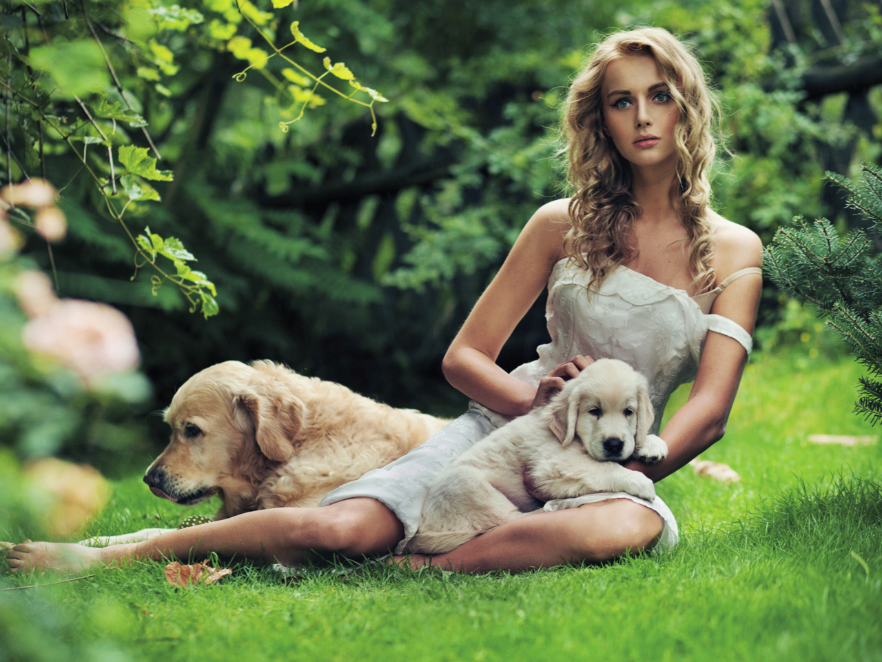 Model And Dogs wallpaper 1280x960