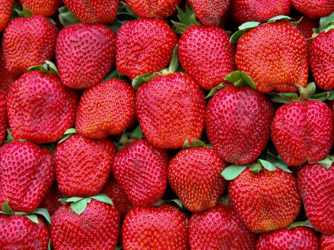 Best Strawberries wallpaper 1152x864