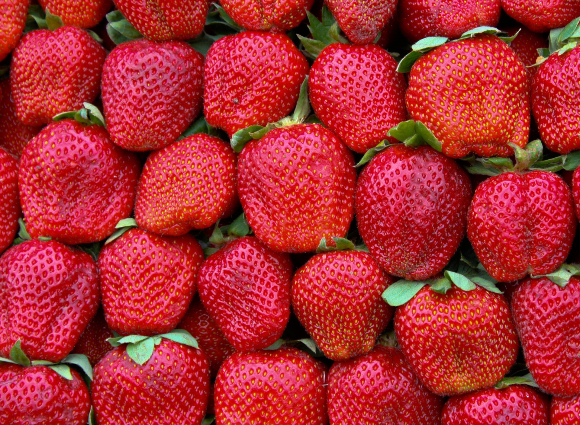 Best Strawberries wallpaper 1920x1408