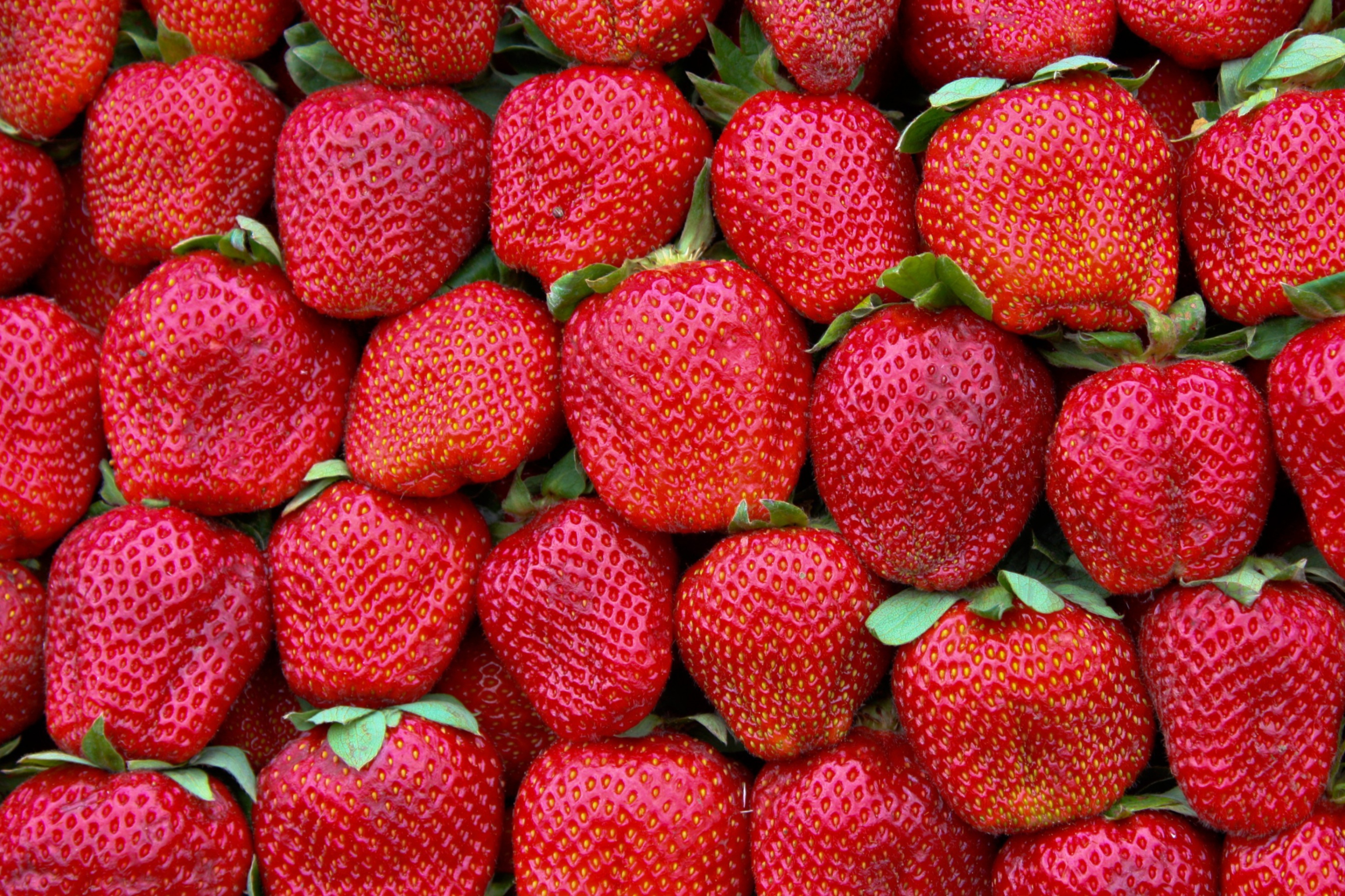 Screenshot №1 pro téma Best Strawberries 2880x1920