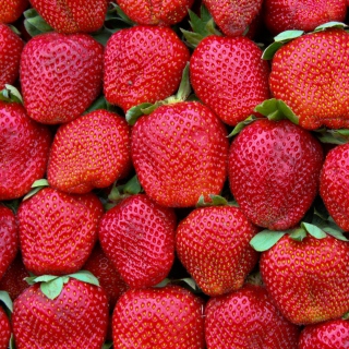 Best Strawberries Background for iPad