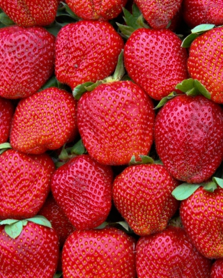 Best Strawberries - Obrázkek zdarma pro Nokia Asha 308