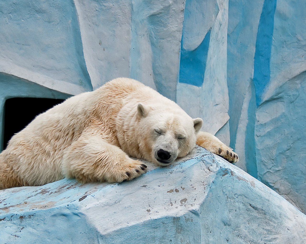 Sfondi Sleeping Polar Bear in Columbus Zoo 1280x1024