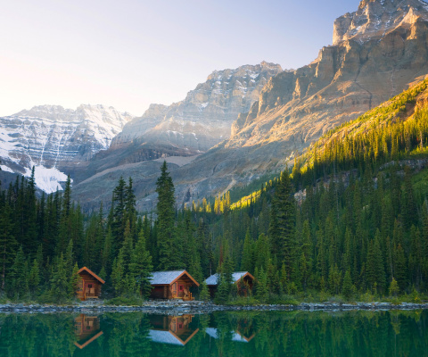 Canada National Park screenshot #1 480x400