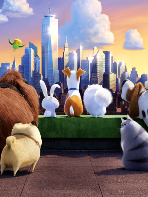 Das The Secret Life of Pets Gang Wallpaper 480x640