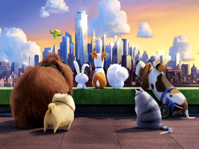 Sfondi The Secret Life of Pets Gang 640x480