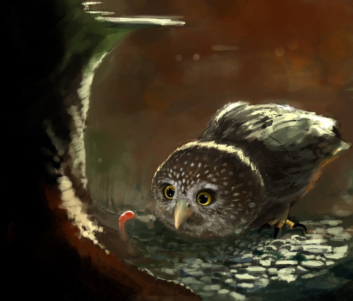 Cute Owl Painting screenshot #1 1200x1024
