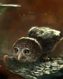 Screenshot №1 pro téma Cute Owl Painting 128x160