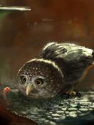 Cute Owl Painting screenshot #1 132x176