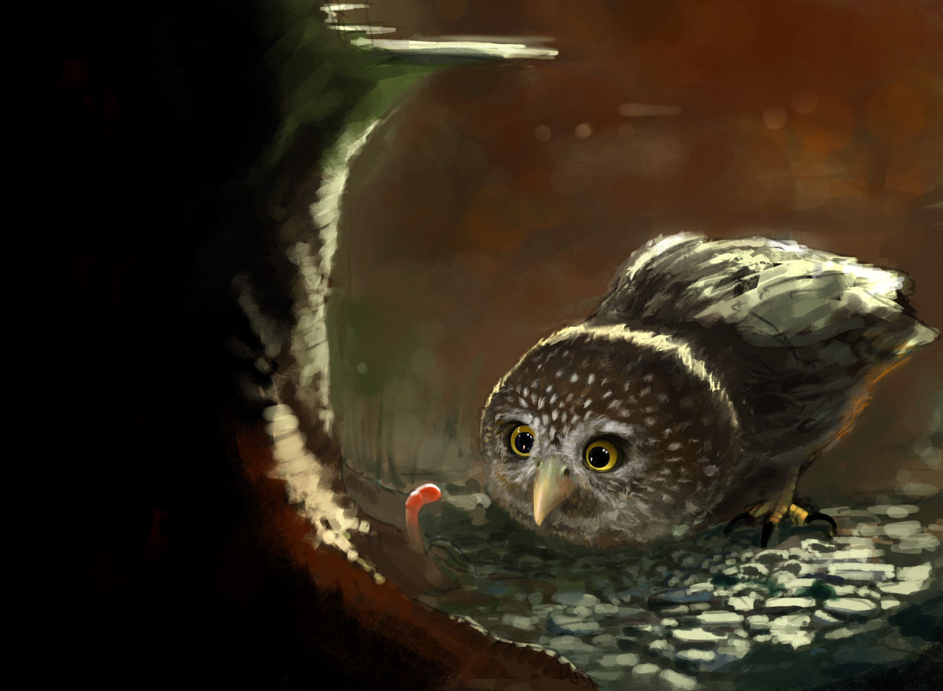 Cute Owl Painting screenshot #1 1920x1408