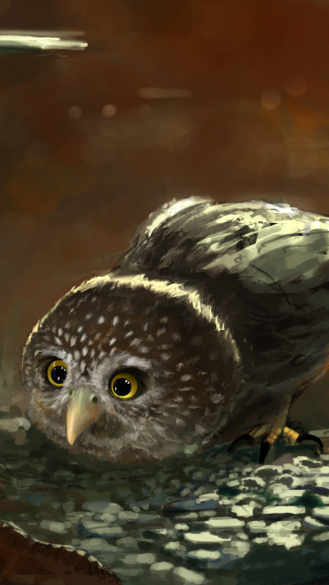 Fondo de pantalla Cute Owl Painting 360x640