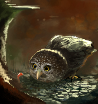 Cute Owl Painting papel de parede para celular para iPad 2