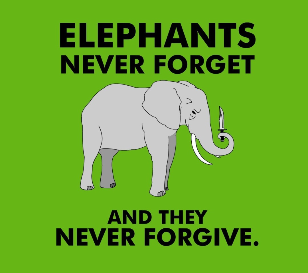 Das Elephants Never Forget Wallpaper 1080x960