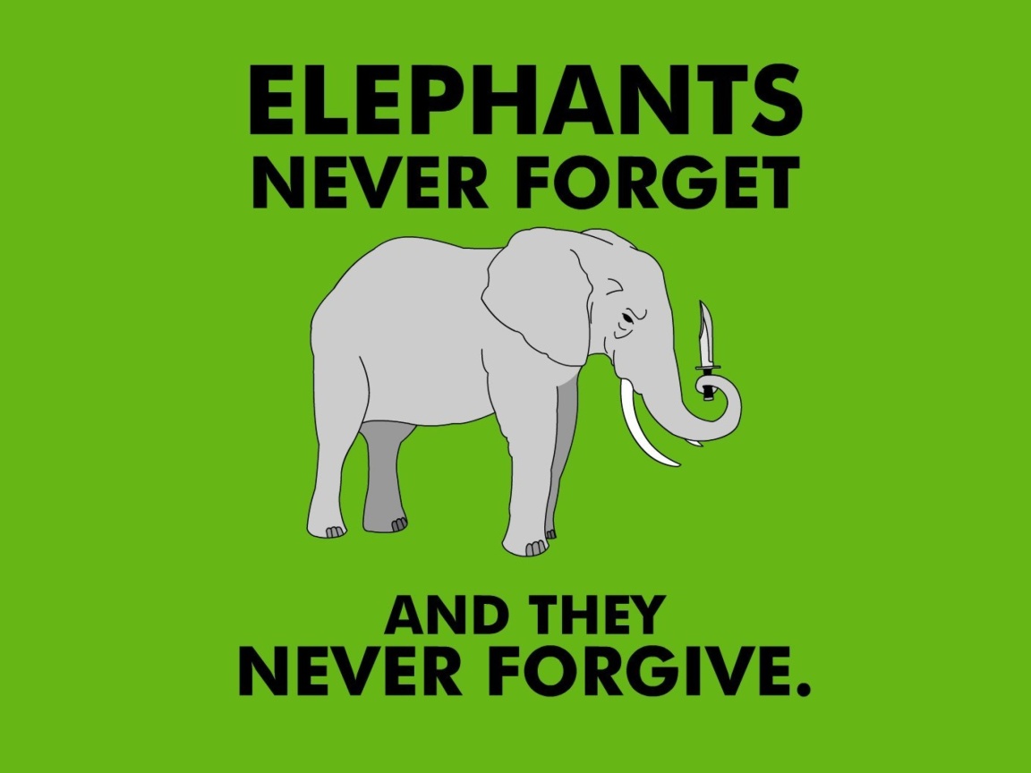 Fondo de pantalla Elephants Never Forget 1152x864