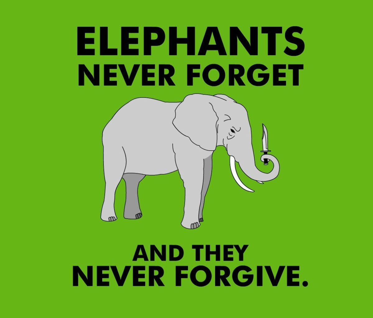 Screenshot №1 pro téma Elephants Never Forget 1200x1024