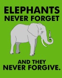 Fondo de pantalla Elephants Never Forget 128x160