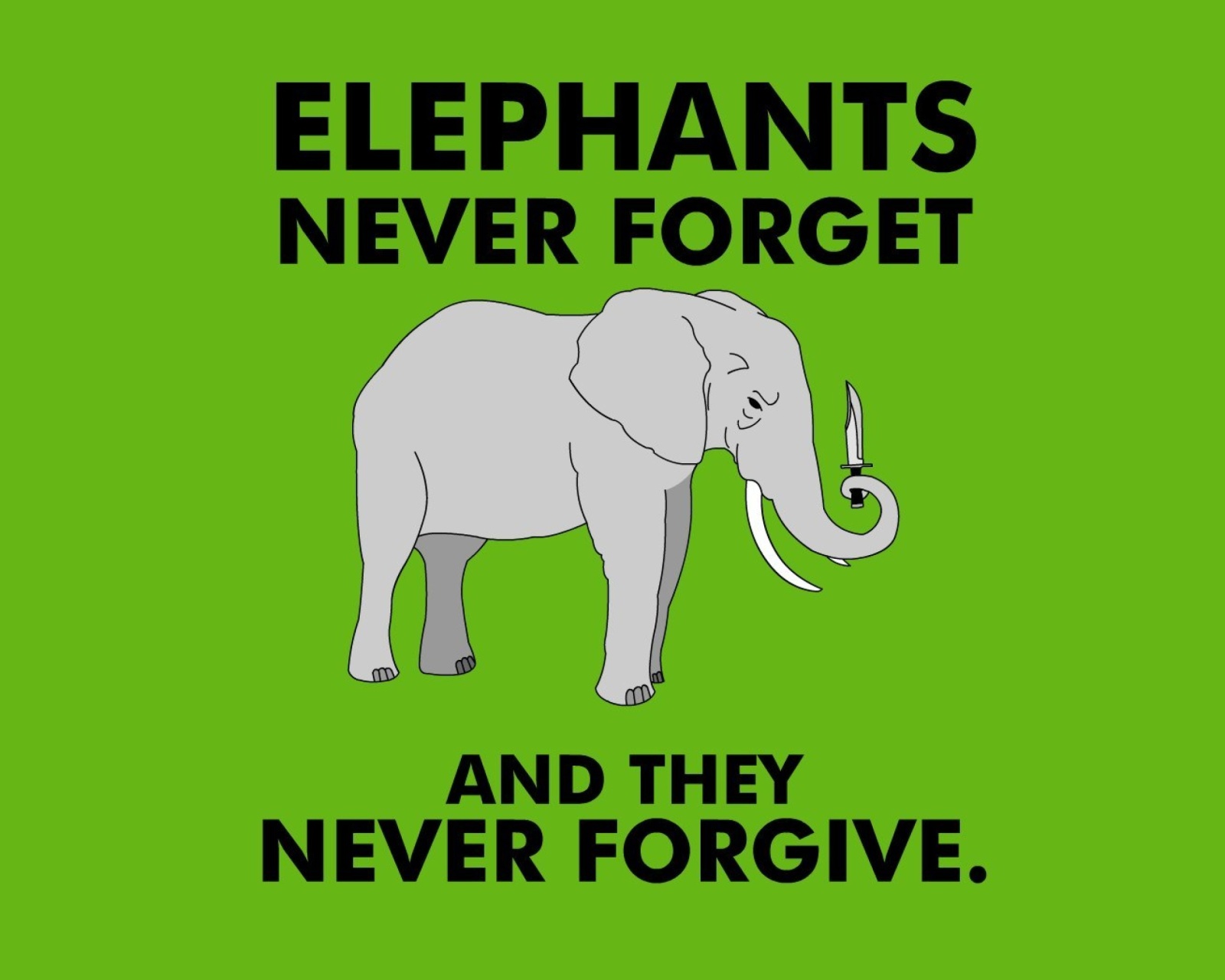 Das Elephants Never Forget Wallpaper 1600x1280