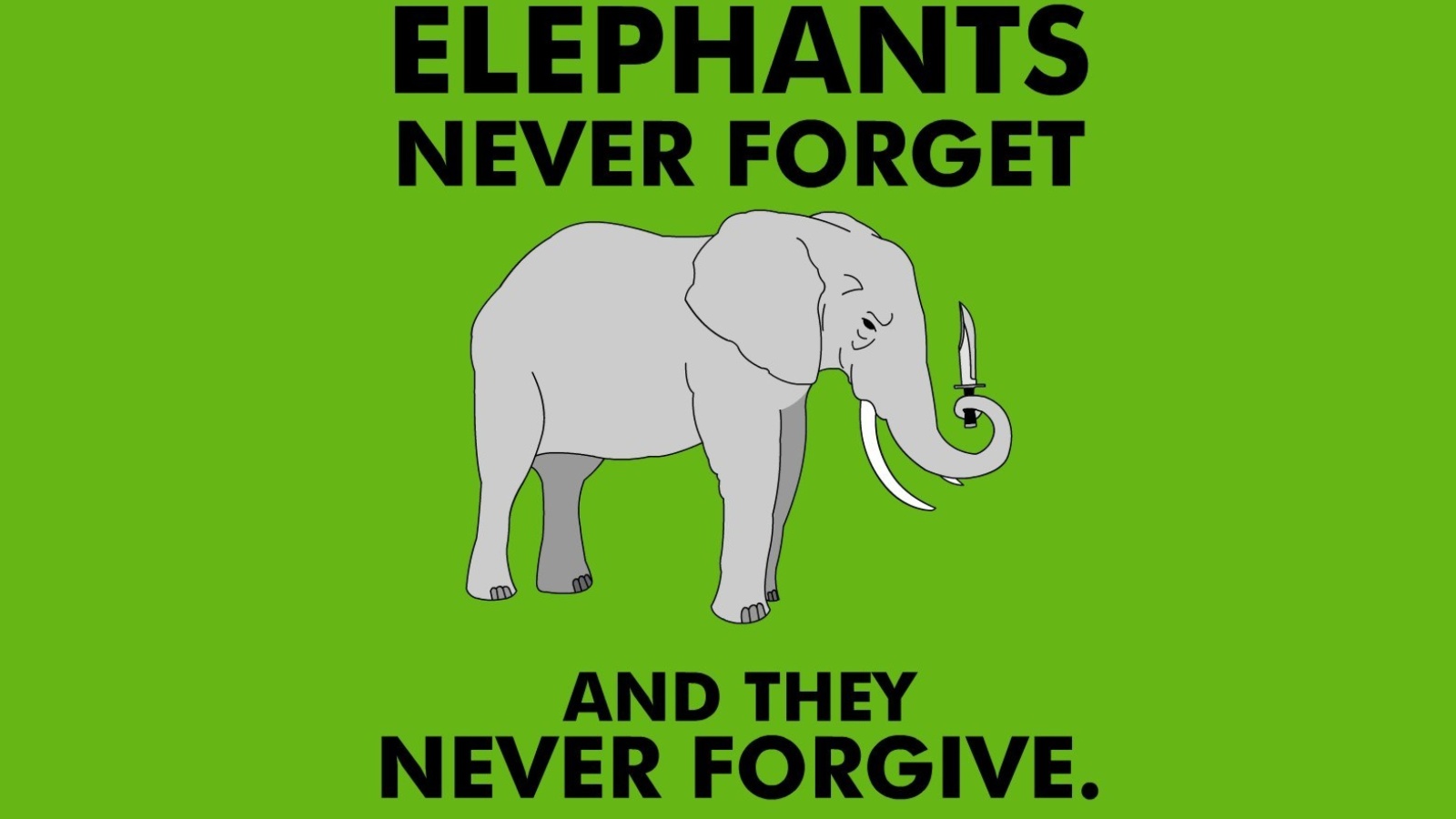 Das Elephants Never Forget Wallpaper 1600x900