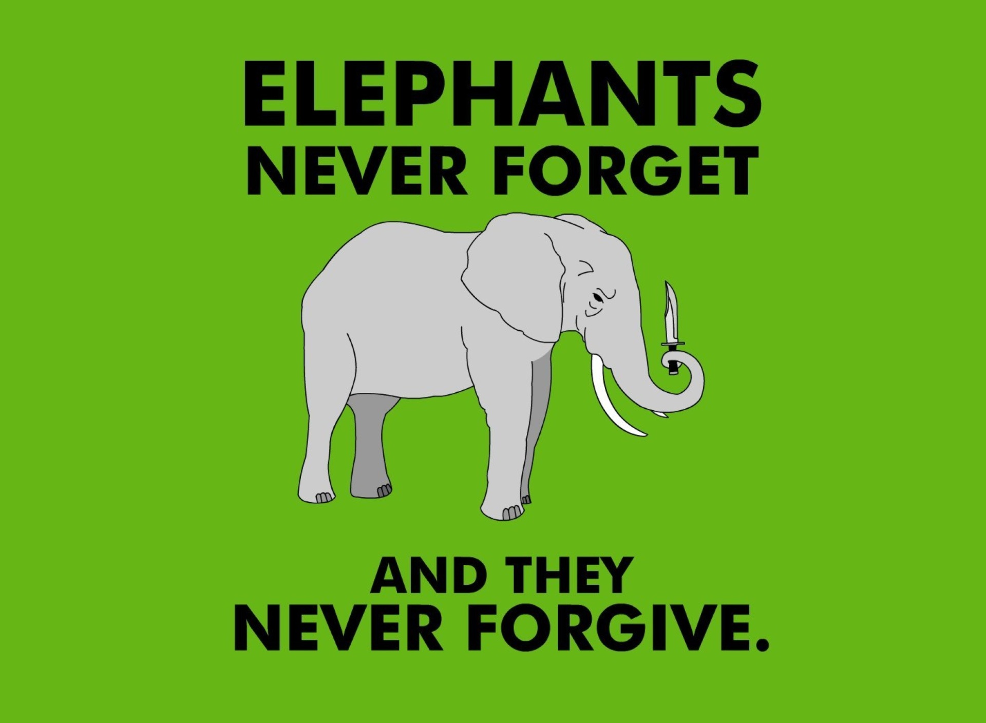 Das Elephants Never Forget Wallpaper 1920x1408