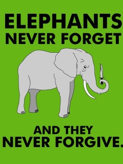 Das Elephants Never Forget Wallpaper 240x320