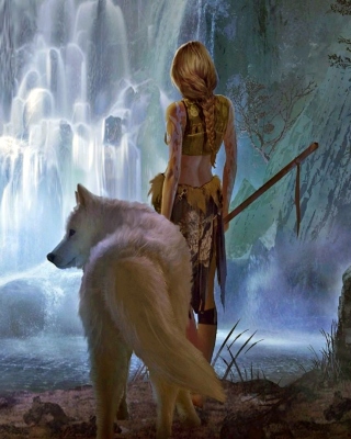 Warrior Wolf Girl from Final Fantasy papel de parede para celular para Nokia C2-06