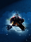 Screenshot №1 pro téma Ice Hockey 132x176