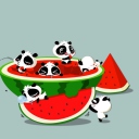 Das Panda And Watermelon Wallpaper 128x128