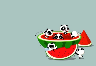 Panda And Watermelon Picture for Android, iPhone and iPad