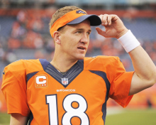 Fondo de pantalla Peyton Manning 220x176