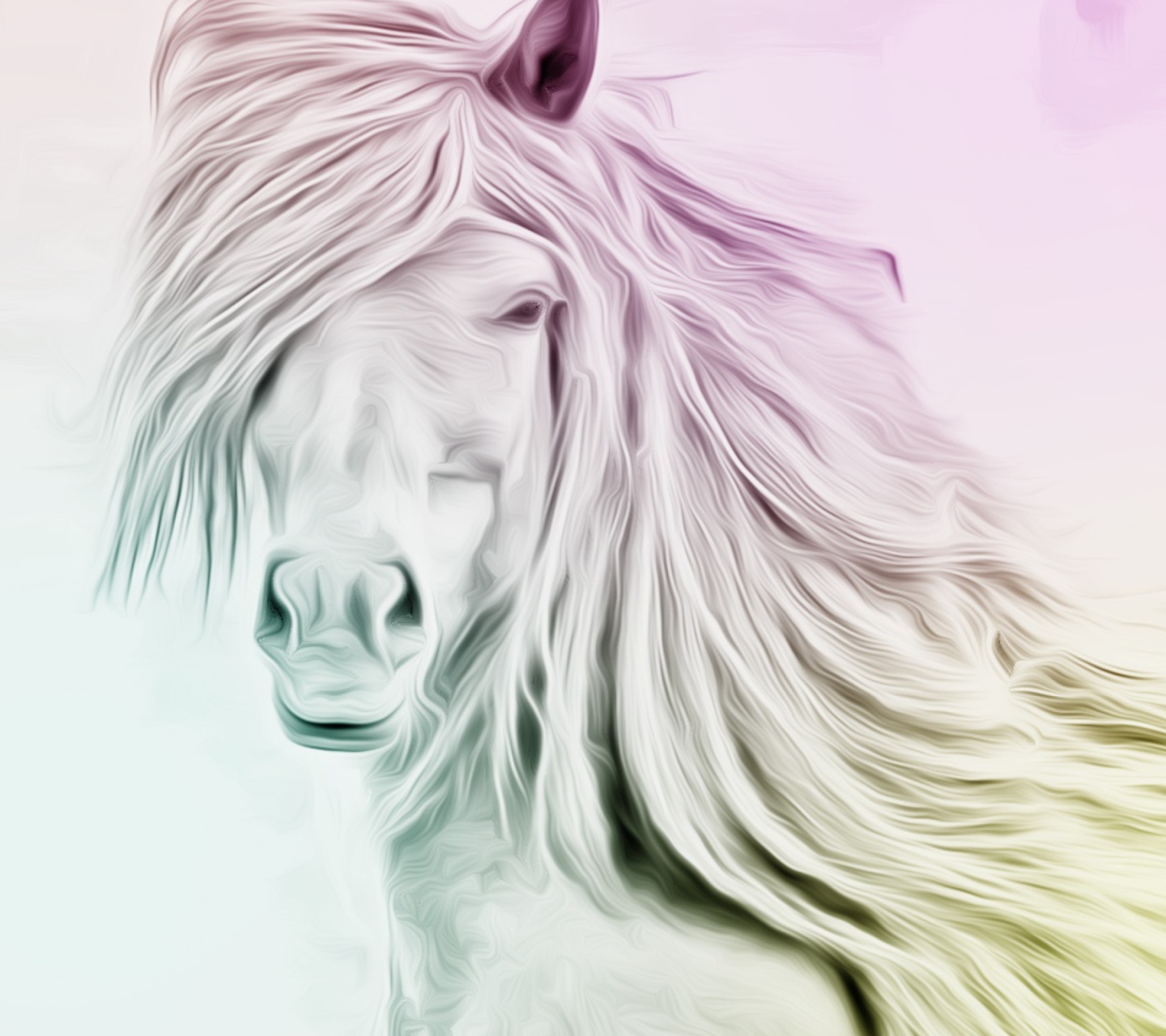 Fondo de pantalla Horse Art 1440x1280