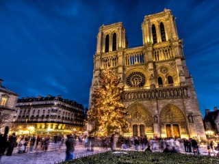 Notre Dame Cathedral wallpaper 320x240