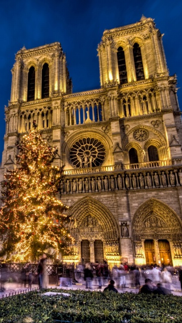 Fondo de pantalla Notre Dame Cathedral 360x640