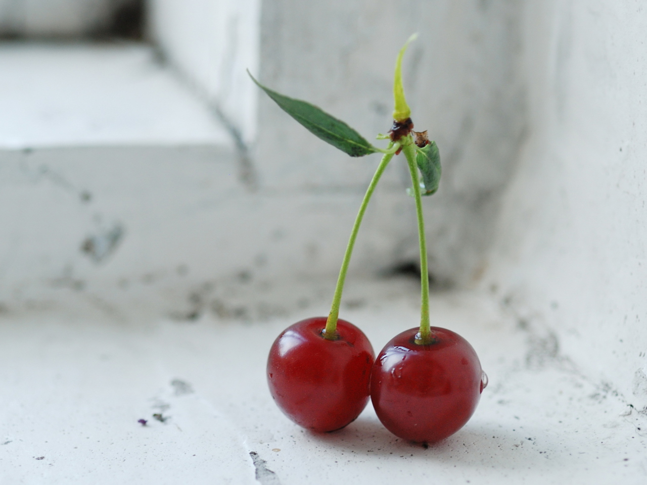 Fresh Cherry wallpaper 1280x960