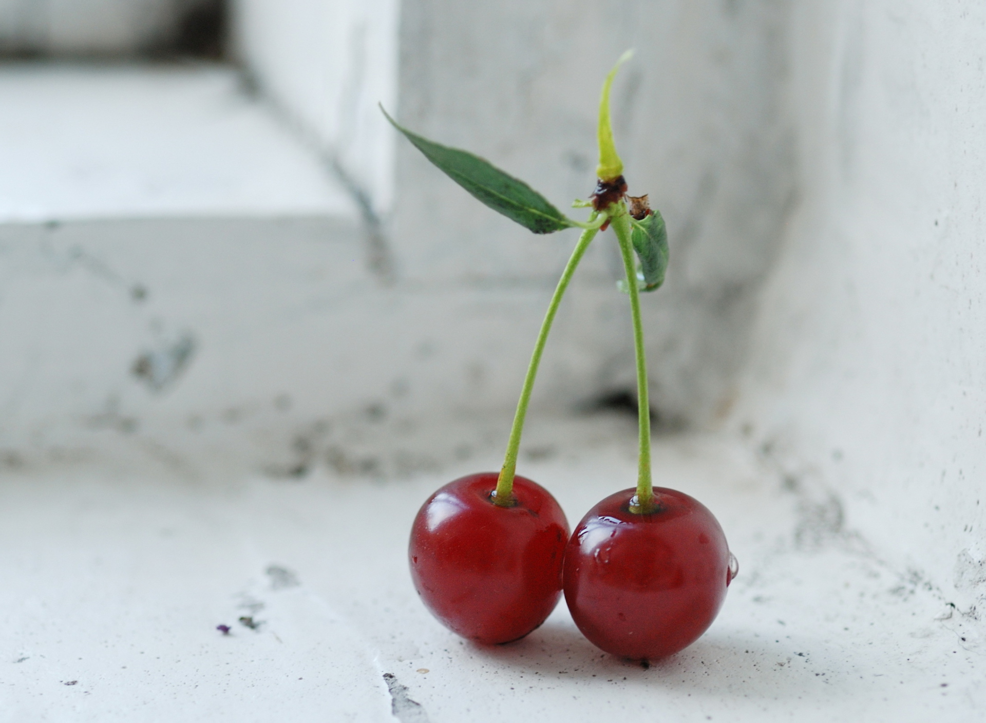 Fondo de pantalla Fresh Cherry 1920x1408