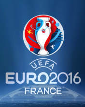 Das UEFA Euro 2016 Wallpaper 176x220