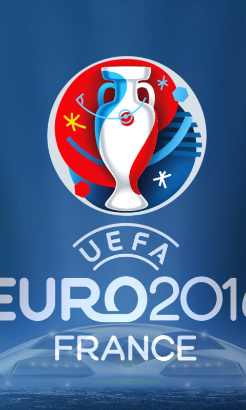 Screenshot №1 pro téma UEFA Euro 2016 480x800