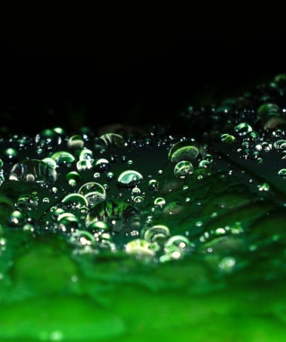 Rain Drops - Obrázkek zdarma pro 768x1280