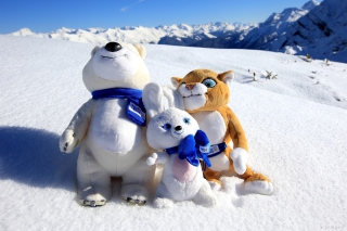 Winter Olympics Symbols - Obrázkek zdarma pro Sony Xperia E1
