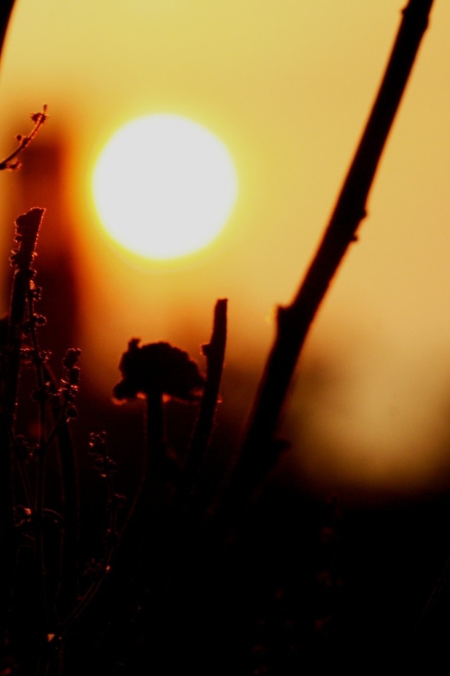 Sunset screenshot #1 640x960
