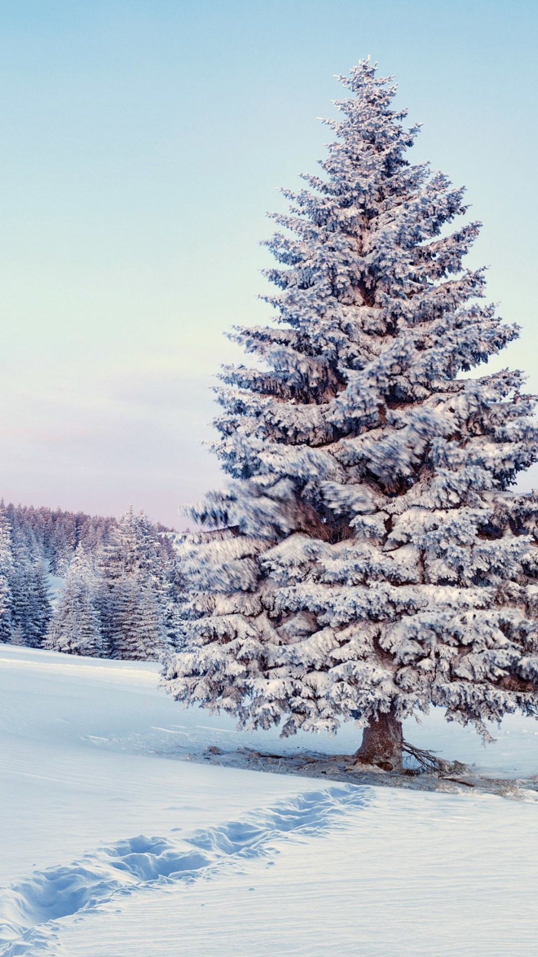 Screenshot №1 pro téma Snowy Forest Winter Scenery 1080x1920