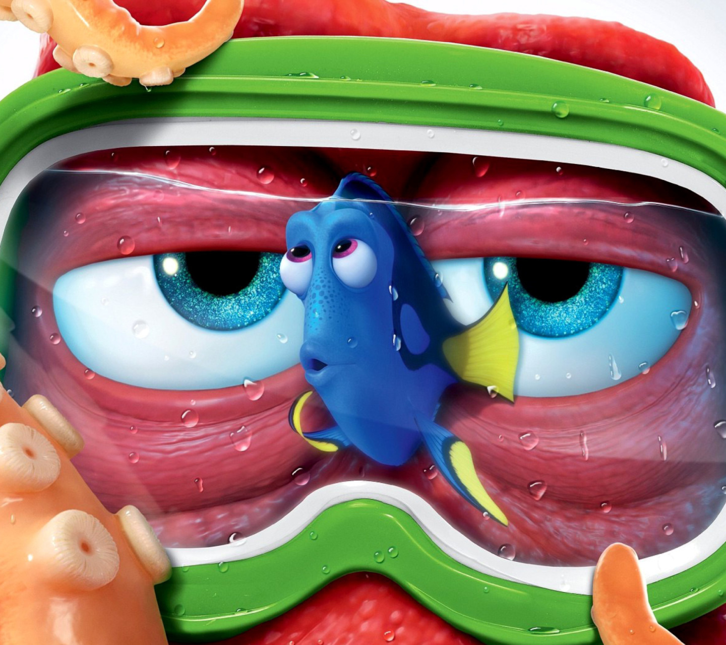 Fondo de pantalla Finding Dory 3D Film and Nemo Fish 1440x1280