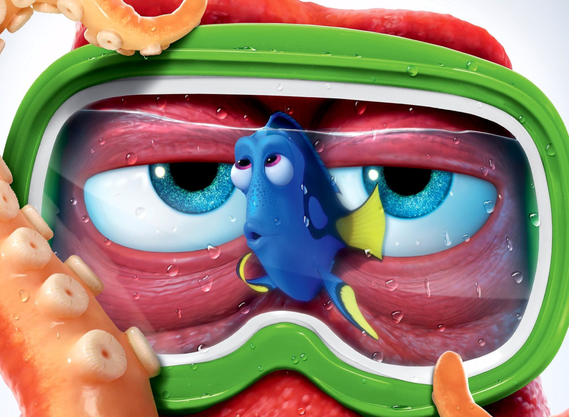 Sfondi Finding Dory 3D Film and Nemo Fish 1920x1408