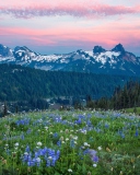 Sfondi Mount Rainier Washington Clouds 128x160