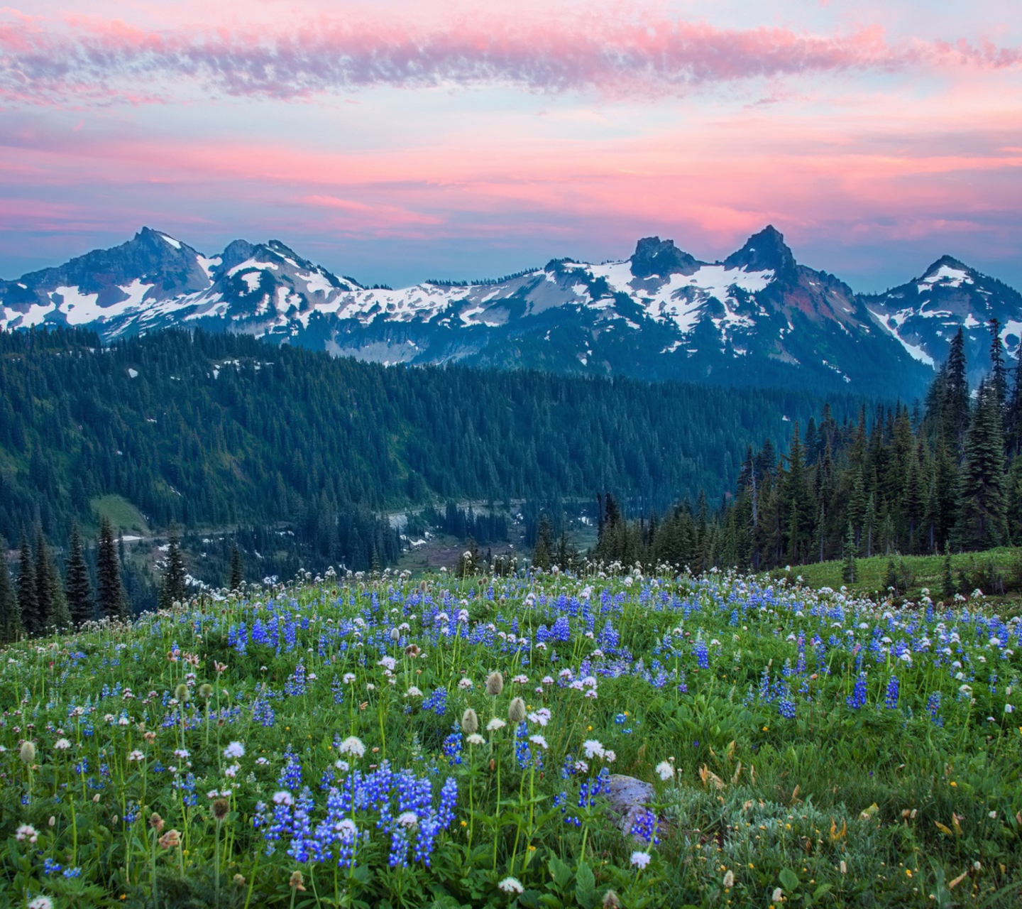 Sfondi Mount Rainier Washington Clouds 1440x1280