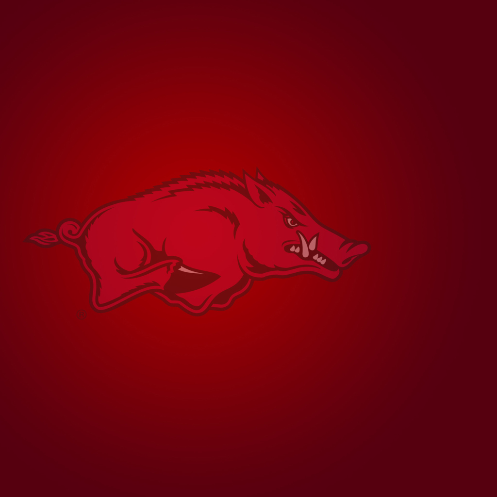 Arkansas Razorbacks screenshot #1 1024x1024