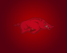 Fondo de pantalla Arkansas Razorbacks 220x176