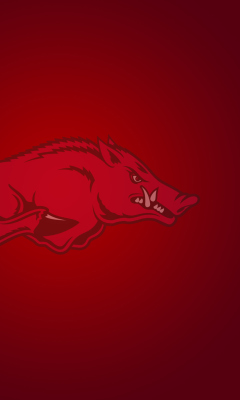 Arkansas Razorbacks wallpaper 240x400